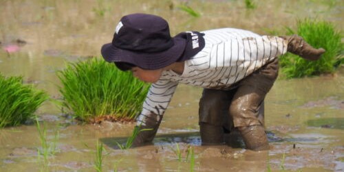 園の紹介